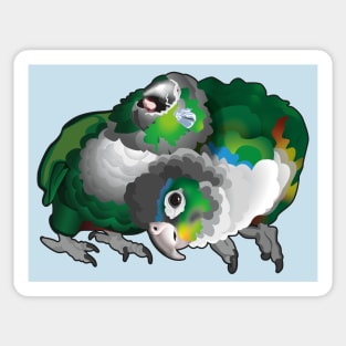 Cuddle Green Cheek Conure Pair Sticker